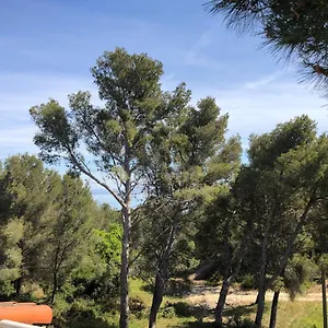 https://t3-terrasse-et-jardin-sur-les-hauteurs-de-martigues.fr-provencehotel.com